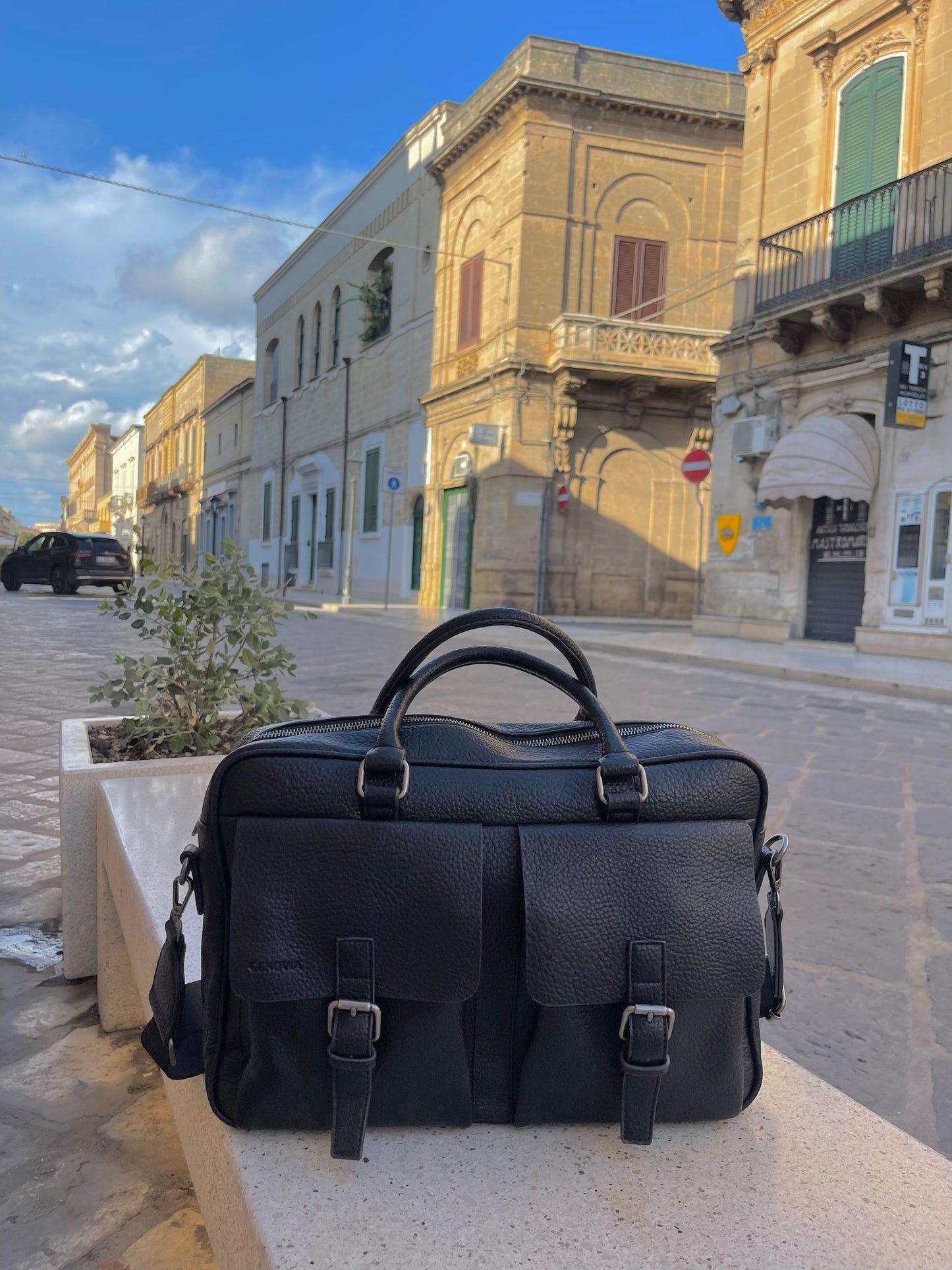 ALANIS BAG